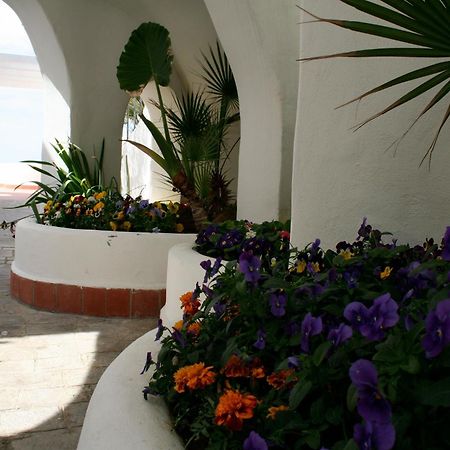 Casa Vacanze Elianto Anzio Eksteriør bilde