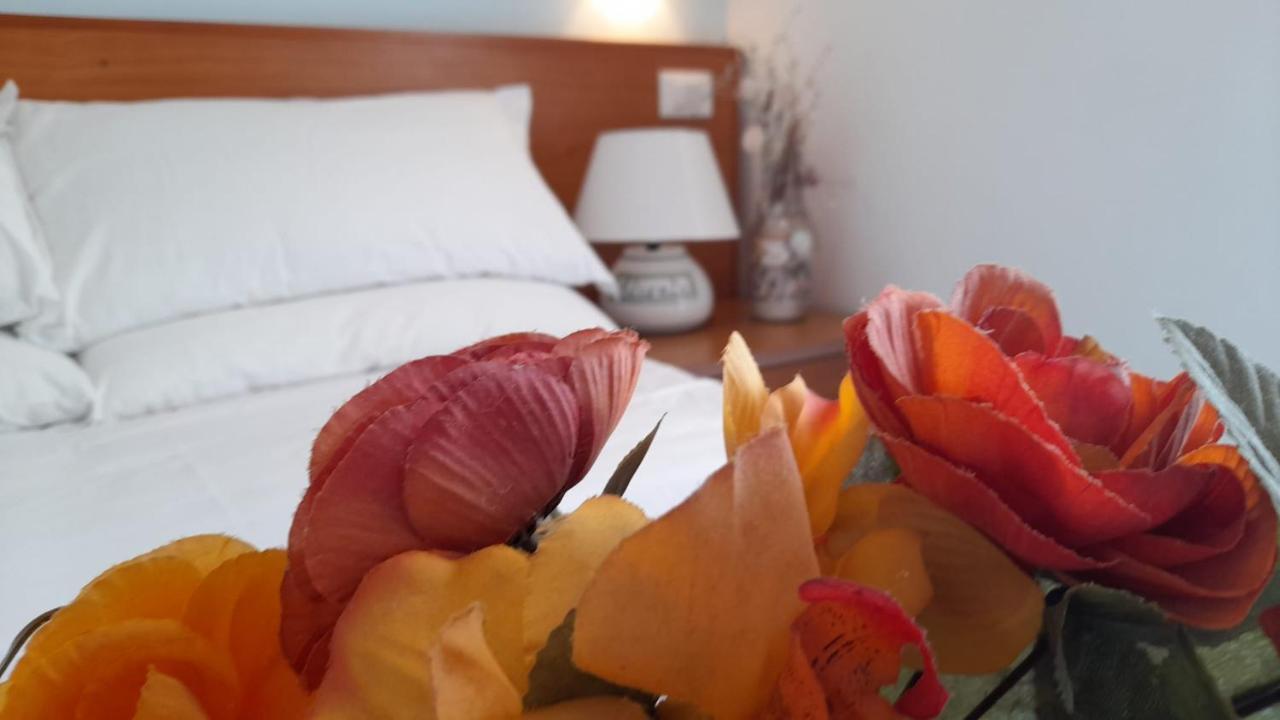 Casa Vacanze Elianto Anzio Eksteriør bilde